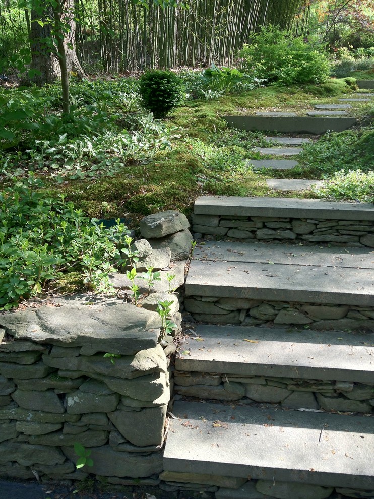 Esempio di un giardino minimalista in ombra di medie dimensioni e davanti casa in primavera con un ingresso o sentiero e pavimentazioni in pietra naturale