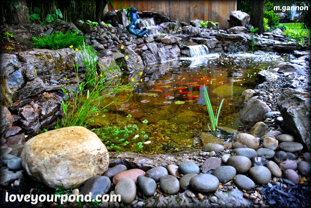 Moss Rock Koi Pond by Full Service Aquatics. Project site West Orange