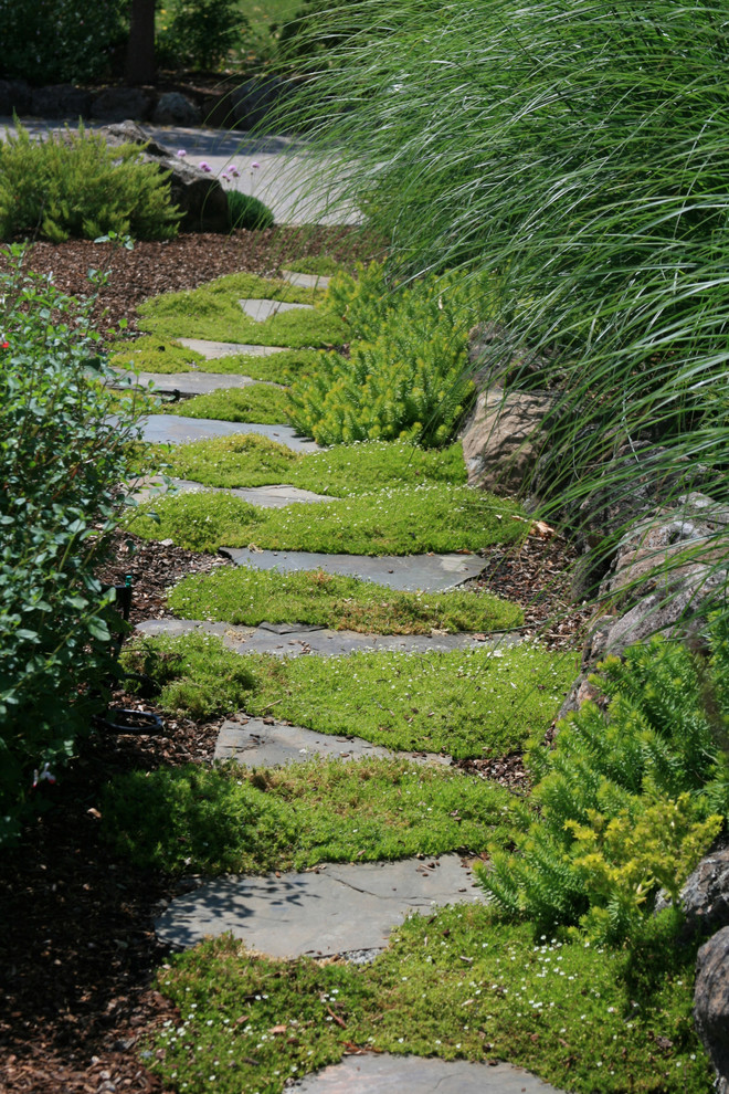 Idée de décoration pour un jardin arrière tradition avec des pavés en pierre naturelle.