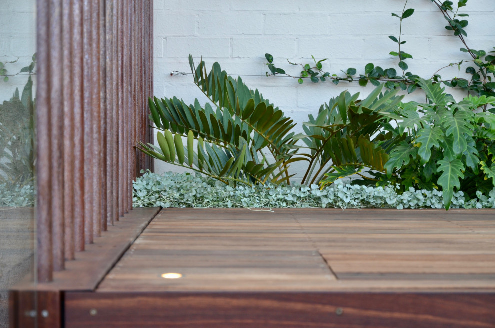 Réalisation d'un petit jardin arrière minimaliste au printemps avec une exposition partiellement ombragée et une terrasse en bois.