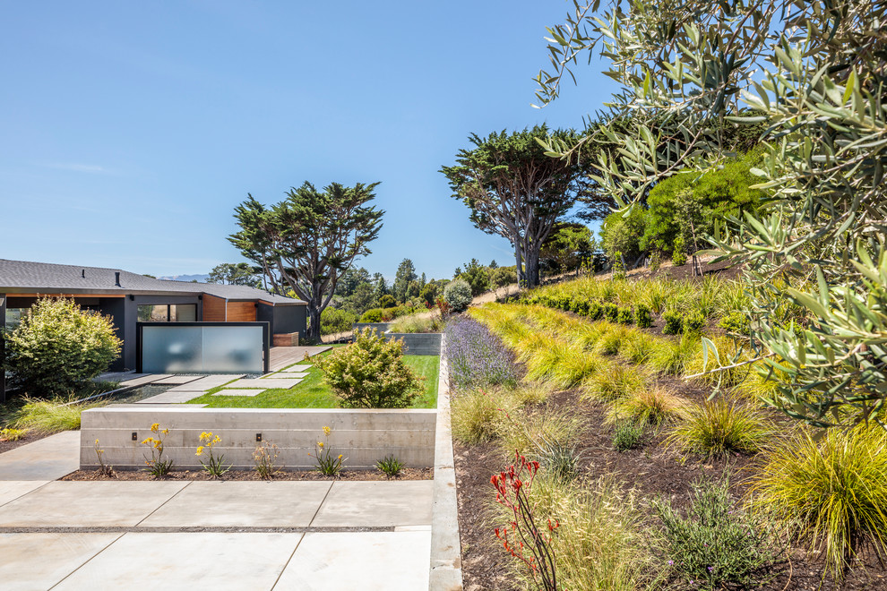 Foto di un giardino formale design esposto in pieno sole di medie dimensioni e davanti casa con una cascata e pavimentazioni in cemento