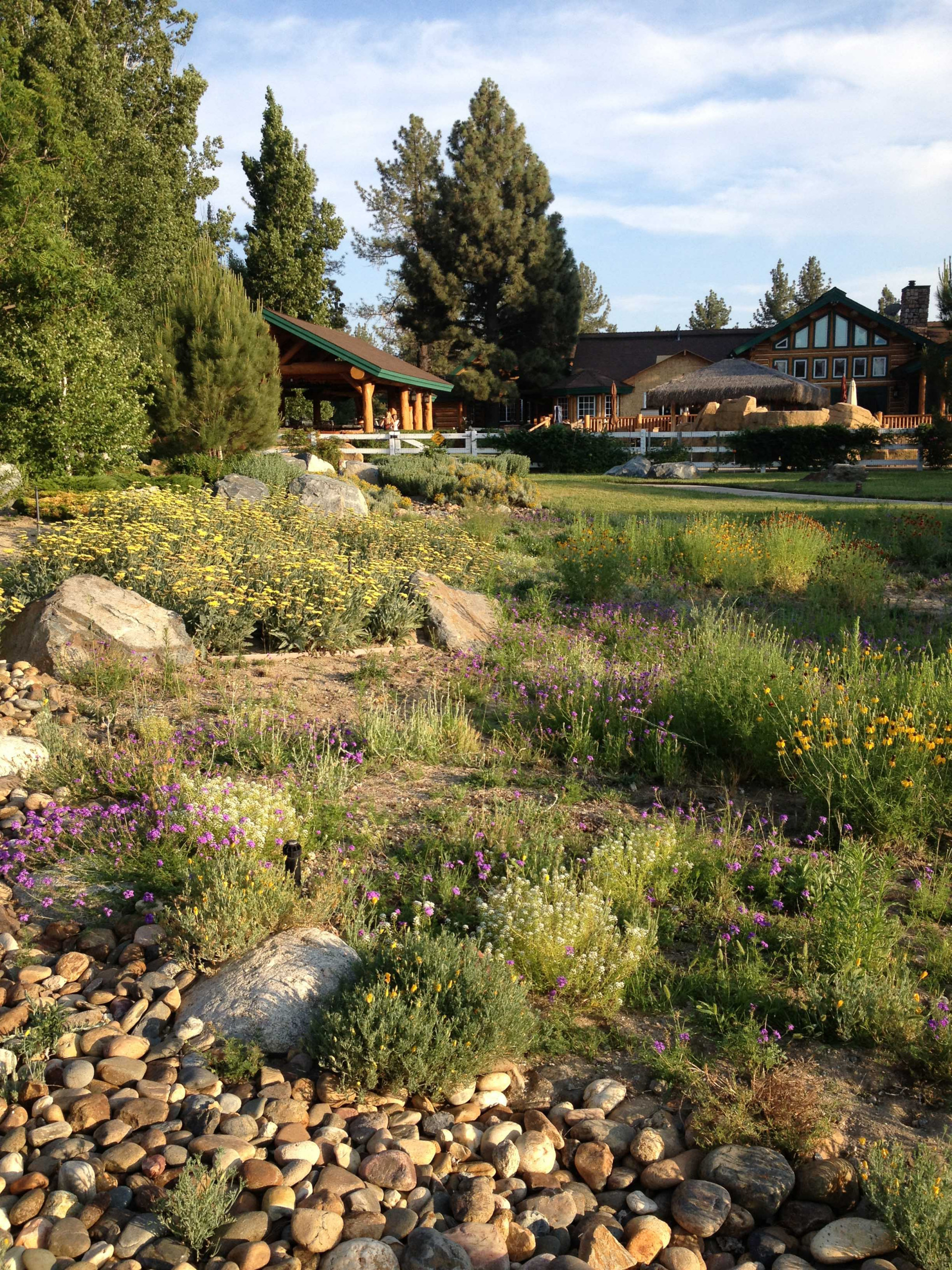 landscape for home on Mountain Home Ranch Rustic Landscape Other By Attinger Landscape Architecture Houzz
