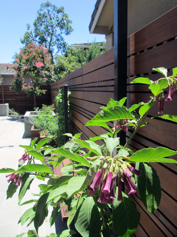 На фото: солнечный, летний участок и сад на заднем дворе в современном стиле с хорошей освещенностью