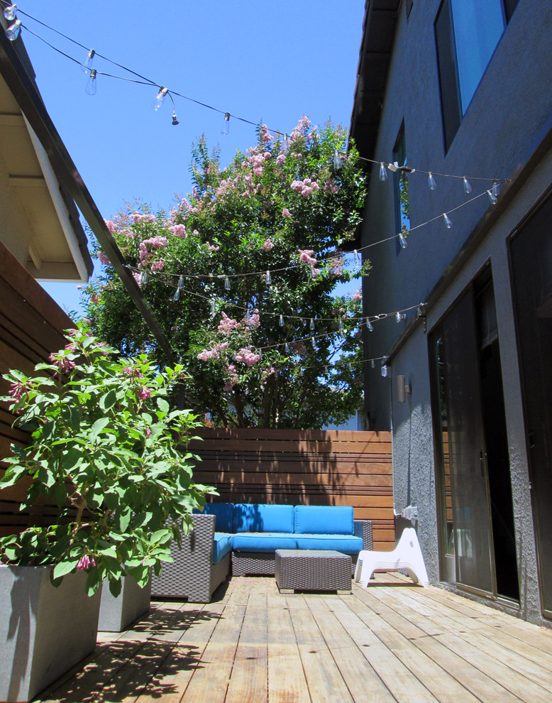Imagen de jardín actual en verano en patio trasero con exposición total al sol