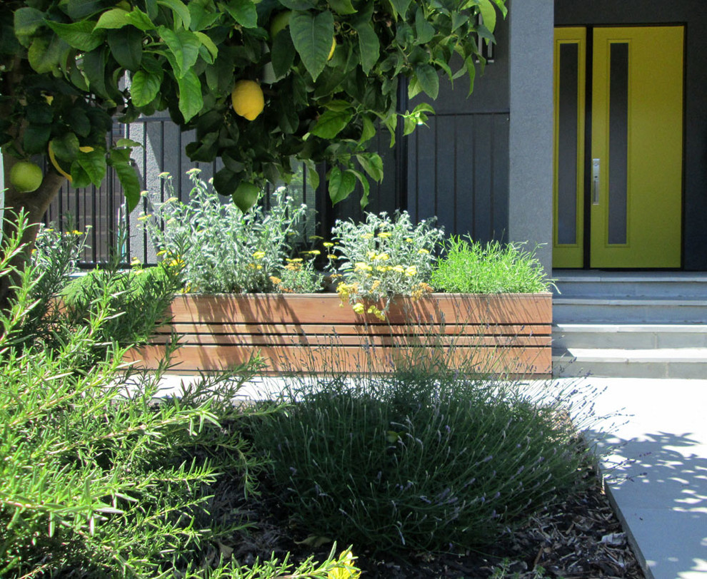 Пример оригинального дизайна: маленький солнечный, летний засухоустойчивый сад на переднем дворе в стиле модернизм с садовой дорожкой или калиткой и хорошей освещенностью для на участке и в саду