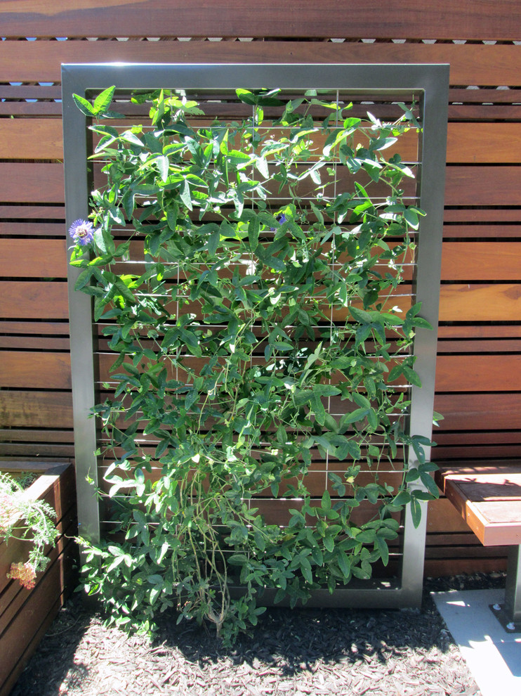 Moderner Garten im Sommer, hinter dem Haus mit direkter Sonneneinstrahlung in San Francisco