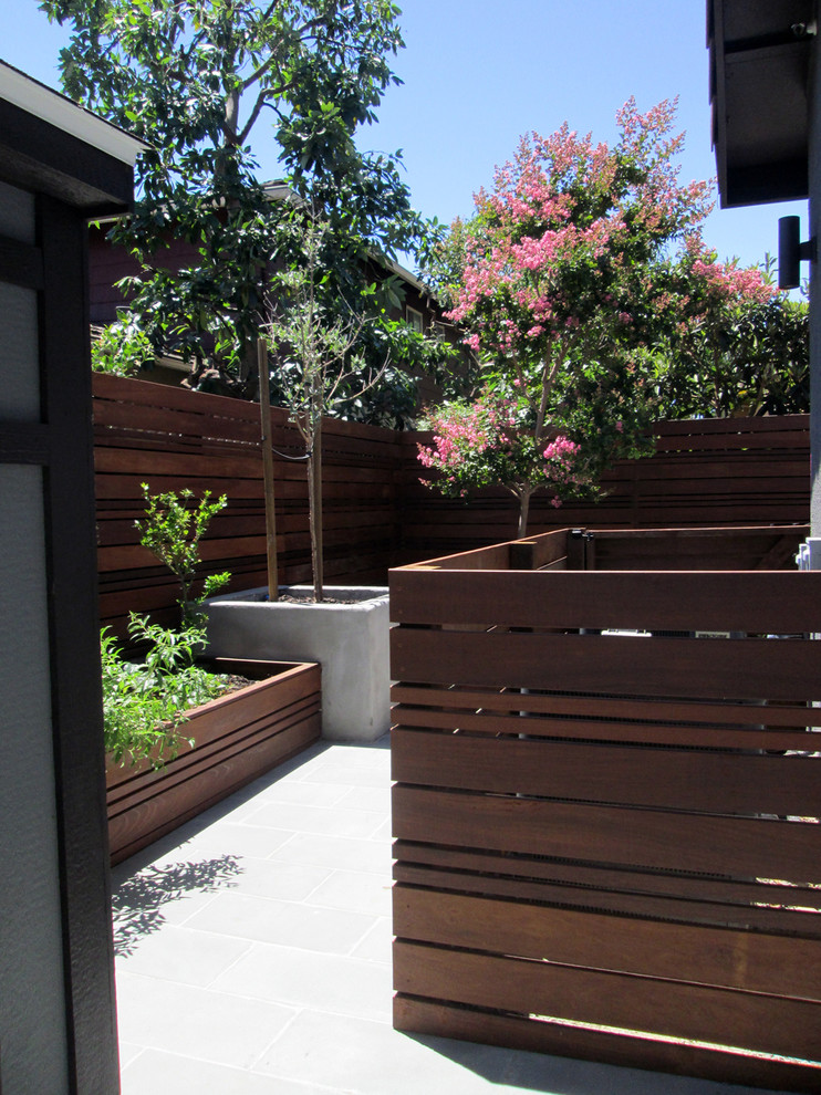 Imagen de jardín contemporáneo en verano en patio trasero con exposición total al sol