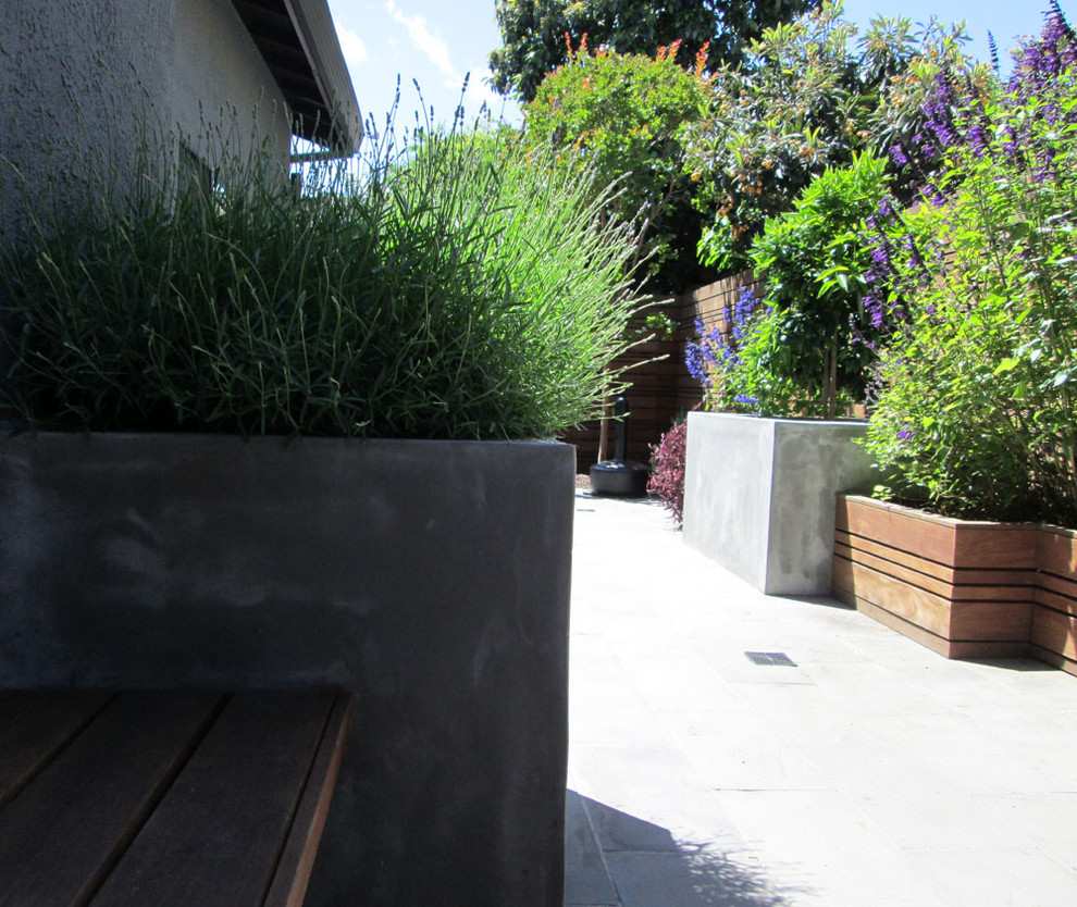 Ispirazione per un piccolo giardino xeriscape minimalista esposto in pieno sole dietro casa in estate con un ingresso o sentiero