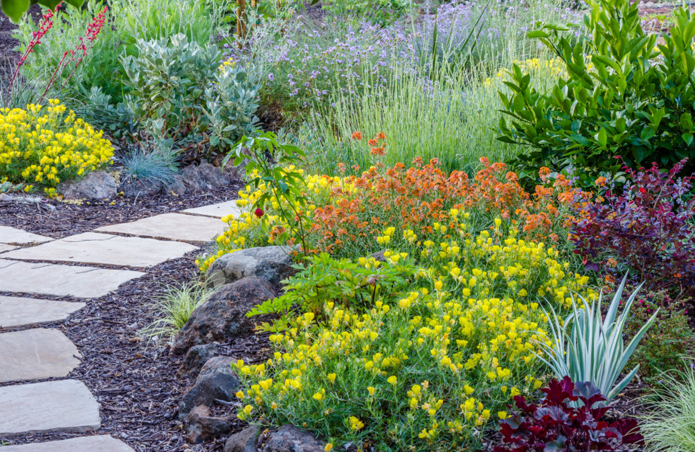 Imagen de jardín de secano mediterráneo de tamaño medio en primavera en patio trasero con exposición total al sol, fuente y adoquines de piedra natural