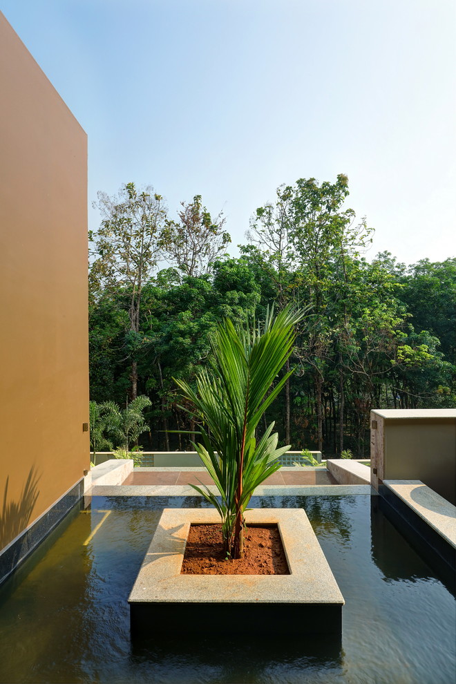 Esempio di un giardino formale minimalista esposto a mezz'ombra sul tetto con fontane