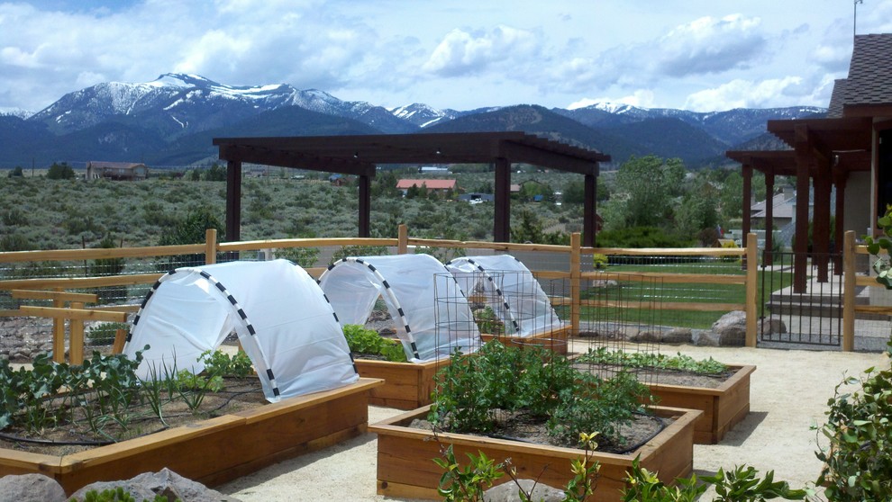Aménagement d'un jardin potager arrière contemporain l'été avec une exposition ensoleillée et du gravier.