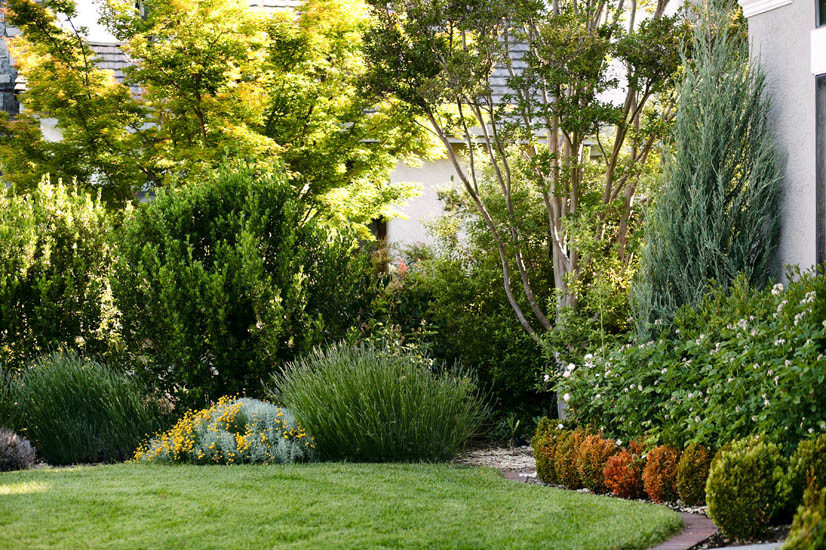 Идея дизайна: регулярный сад среднего размера на переднем дворе в классическом стиле с садовой дорожкой или калиткой, полуденной тенью и мощением тротуарной плиткой