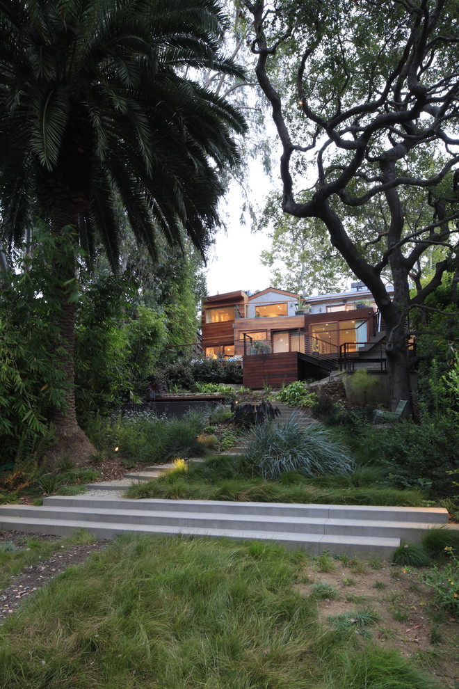 Inspiration for a modern backyard landscaping in Los Angeles.