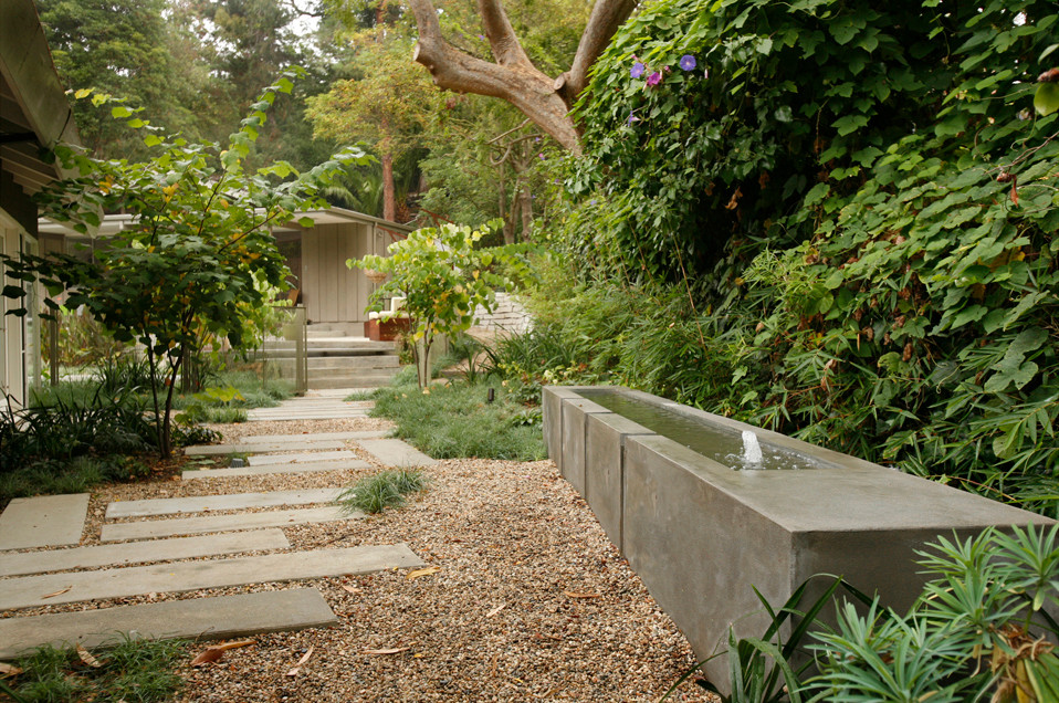 Photo of a modern garden in Los Angeles.
