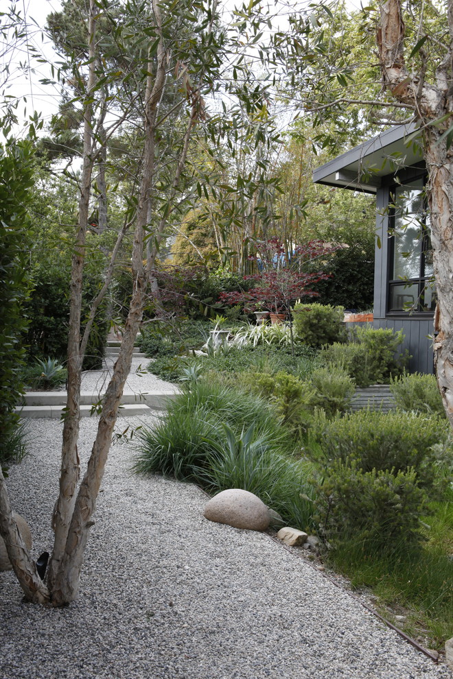ロサンゼルスにある小さなミッドセンチュリースタイルのおしゃれな前庭 (庭への小道、日陰、砂利舗装) の写真