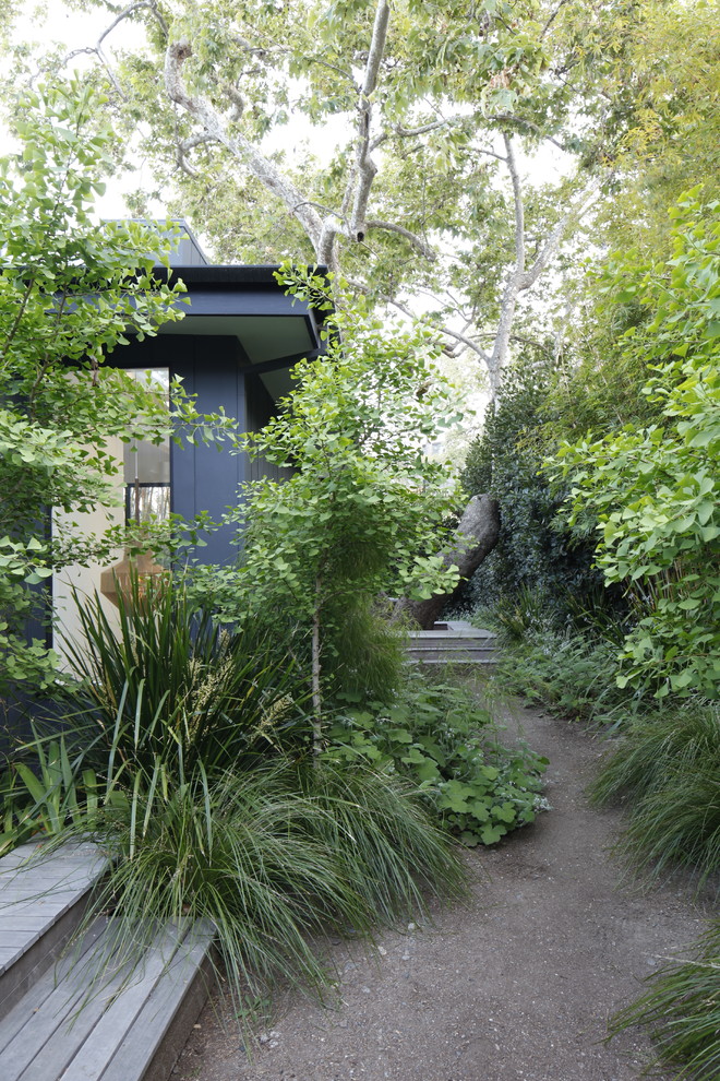 ロサンゼルスにある小さなミッドセンチュリースタイルのおしゃれな裏庭 (庭への小道、日陰、真砂土舗装) の写真