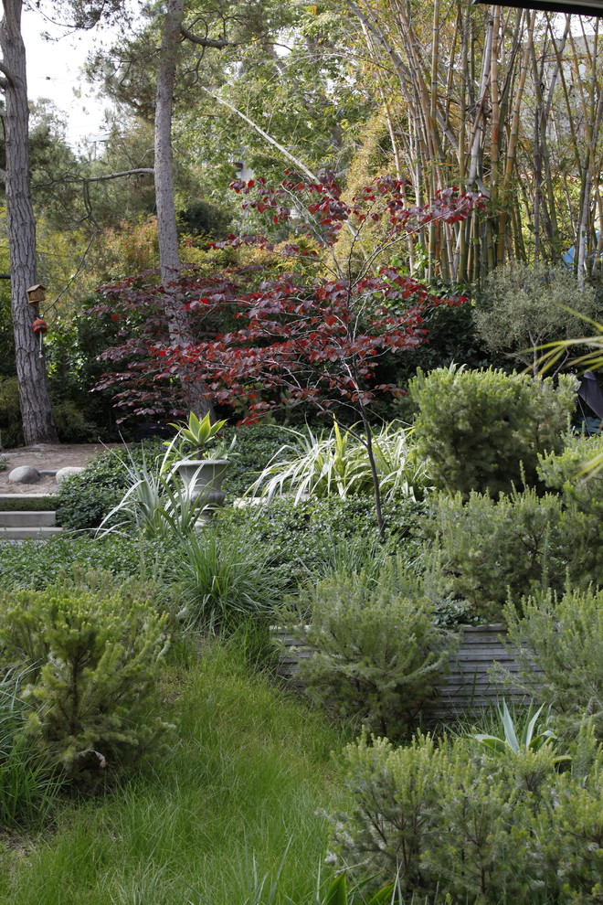 Пример оригинального дизайна: маленький тенистый участок и сад на переднем дворе в стиле ретро с садовой дорожкой или калиткой для на участке и в саду