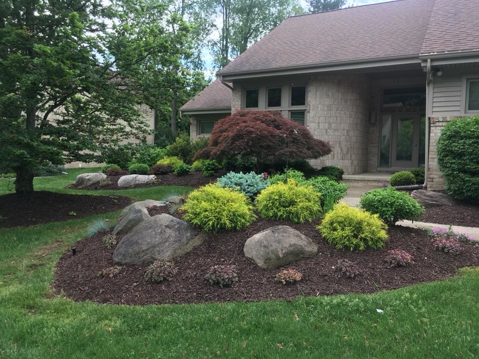 Large classic front full sun garden in Charlotte with mulch.