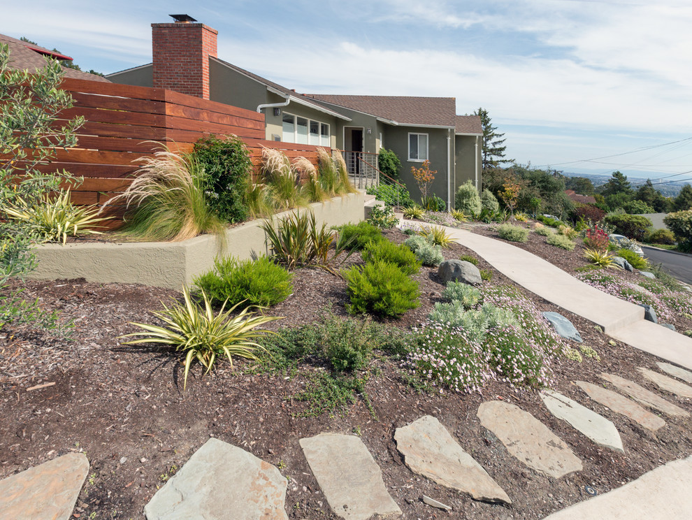 Photo of a large transitional drought-tolerant and full sun backyard mulch landscaping in San Francisco.