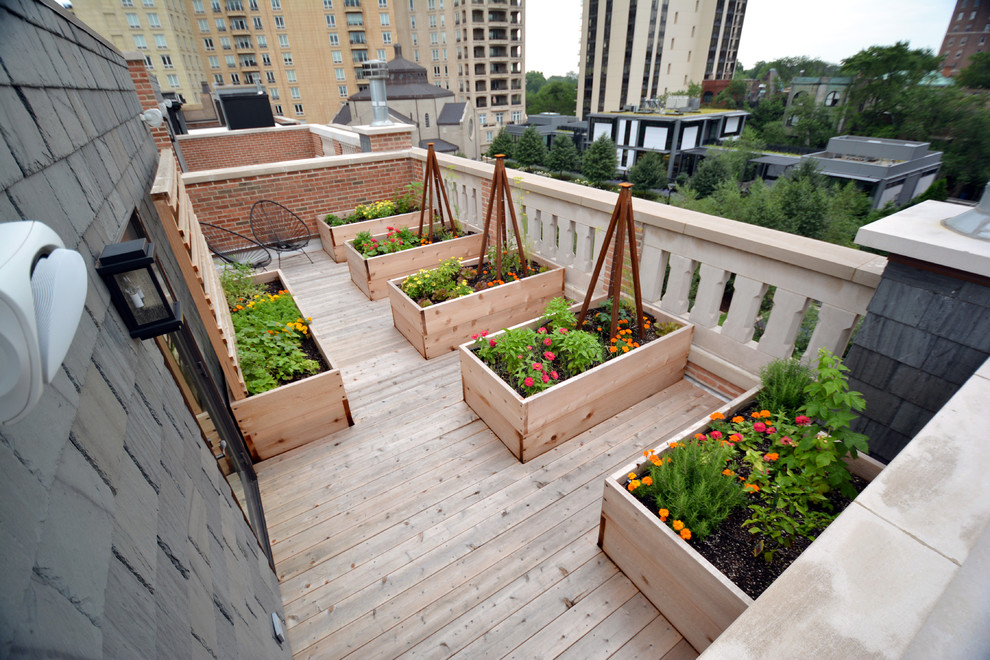 Photo of a mid-sized modern full sun rooftop landscaping in Chicago with decking.