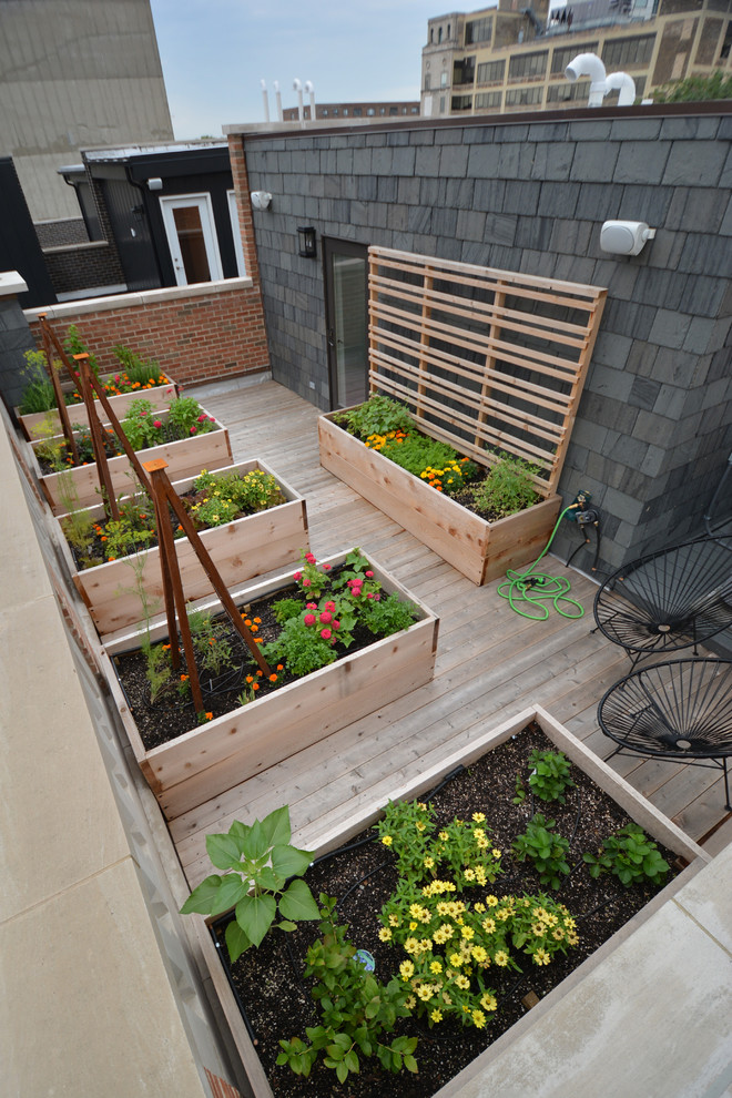Idéer för att renovera en mellanstor funkis trädgård i full sol, med en köksträdgård och trädäck