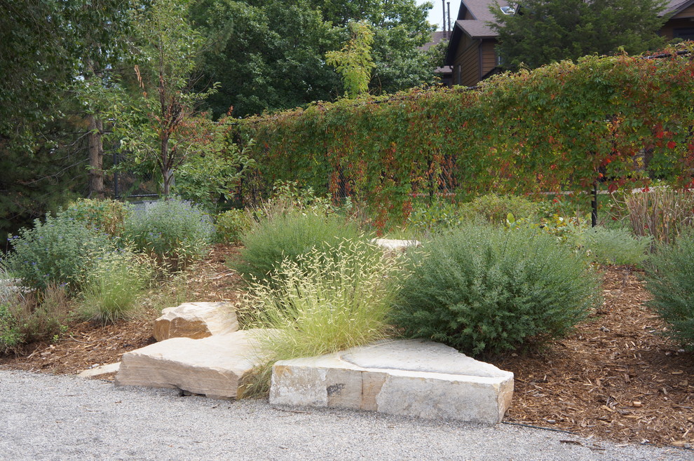Photo of a mid-sized contemporary drought-tolerant and full sun side yard gravel landscaping in Denver.