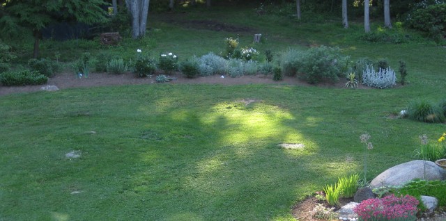My Garden Hedge American Traditional Garden New York By Thunder Hill Design Houzz
