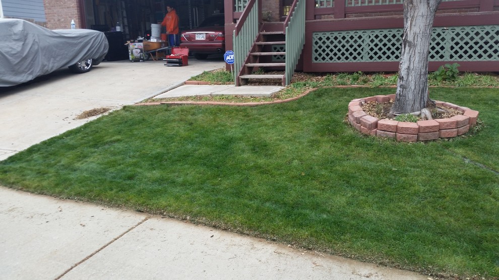 Photo of a mid-sized traditional partial sun front yard landscaping in Denver for winter.