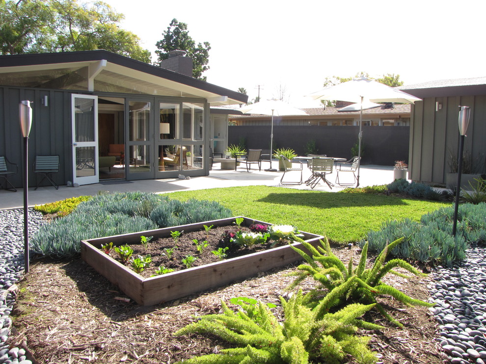 На фото: солнечный участок и сад на заднем дворе в стиле ретро с хорошей освещенностью