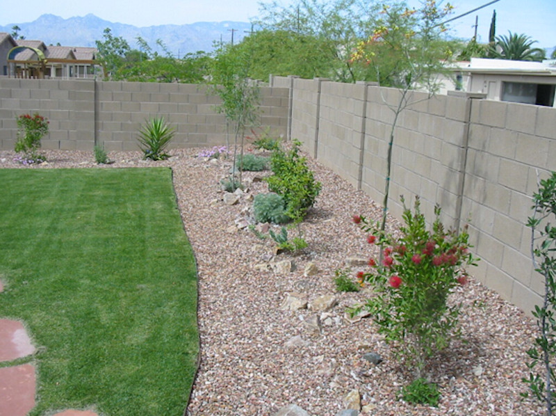 Design ideas for a transitional landscaping in Phoenix.