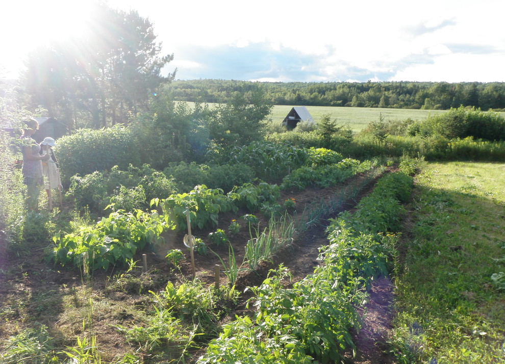 This is an example of a traditional vegetable garden landscape in Other.