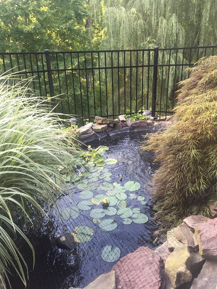 Inspiration pour un jardin arrière traditionnel de taille moyenne avec un bassin et une exposition ombragée.