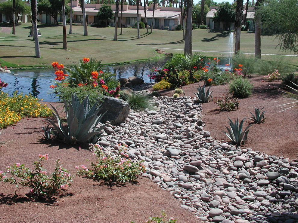Geometrischer, Mittelgroßer Mediterraner Garten im Frühling, hinter dem Haus mit direkter Sonneneinstrahlung in Orange County