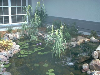 SMYH Revêtement De Bassin pour Bassin De Poisson, Étang De Jardin