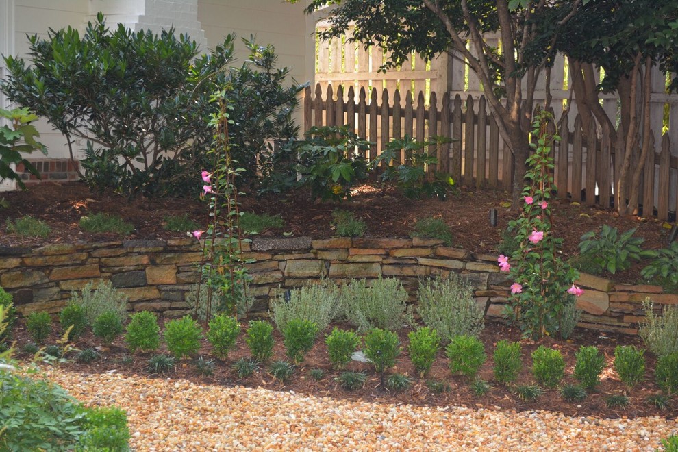Photo of a traditional landscaping in Charleston.