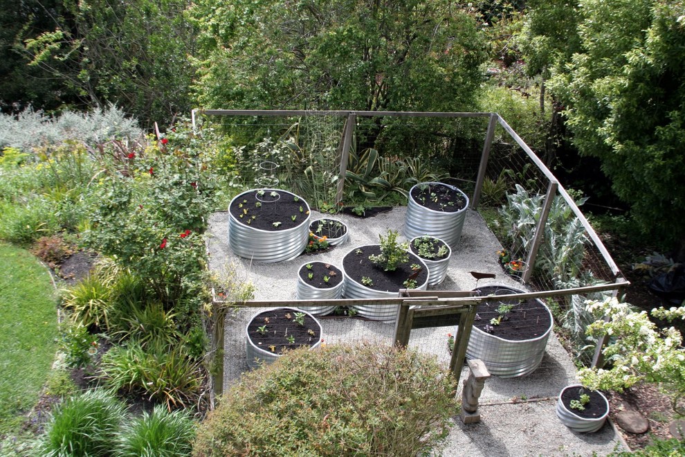 Inspiration för en eklektisk trädgård