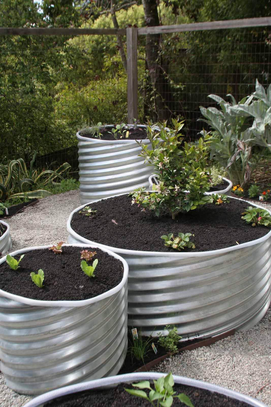 8 Materials for Raised Garden Beds