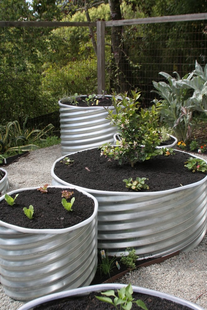 This is an example of an eclectic vegetable garden landscape in San Francisco.
