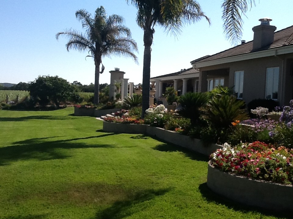 Imagen de jardín mediterráneo extra grande en patio trasero con exposición parcial al sol y adoquines de hormigón