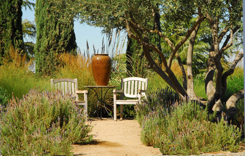 Exemple d'un jardin arrière méditerranéen avec une exposition ensoleillée.
