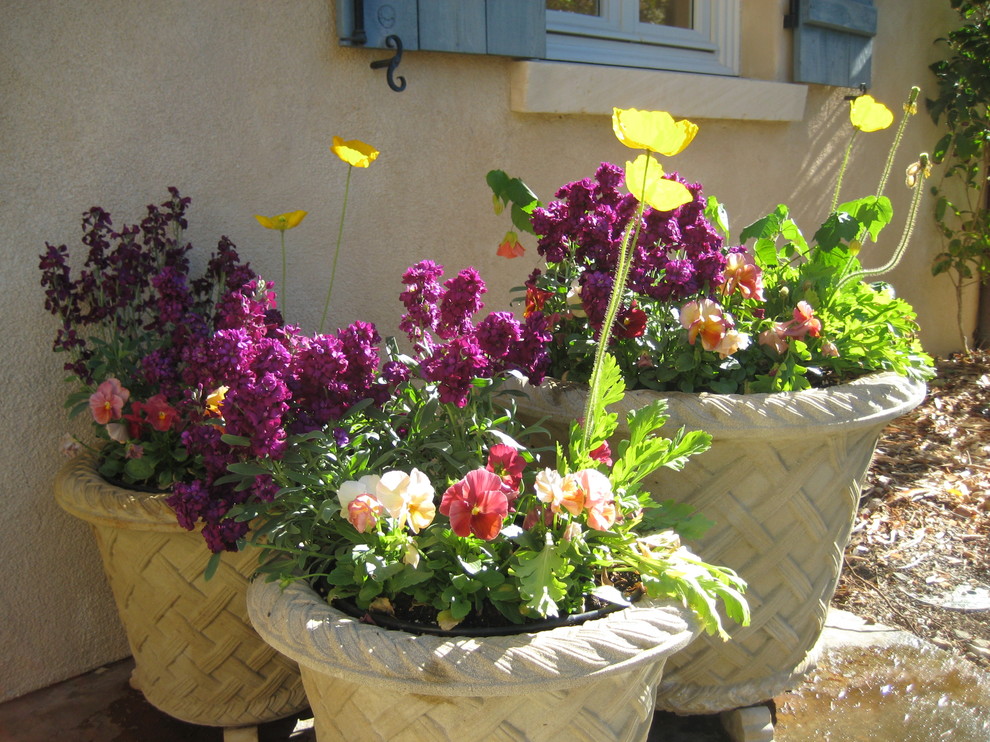 Ispirazione per un giardino tradizionale esposto a mezz'ombra dietro casa in estate con un giardino in vaso
