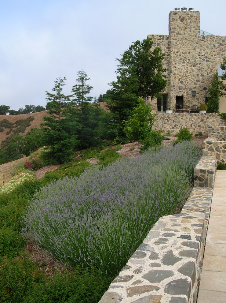 Свежая идея для дизайна: солнечный участок и сад в средиземноморском стиле с хорошей освещенностью - отличное фото интерьера