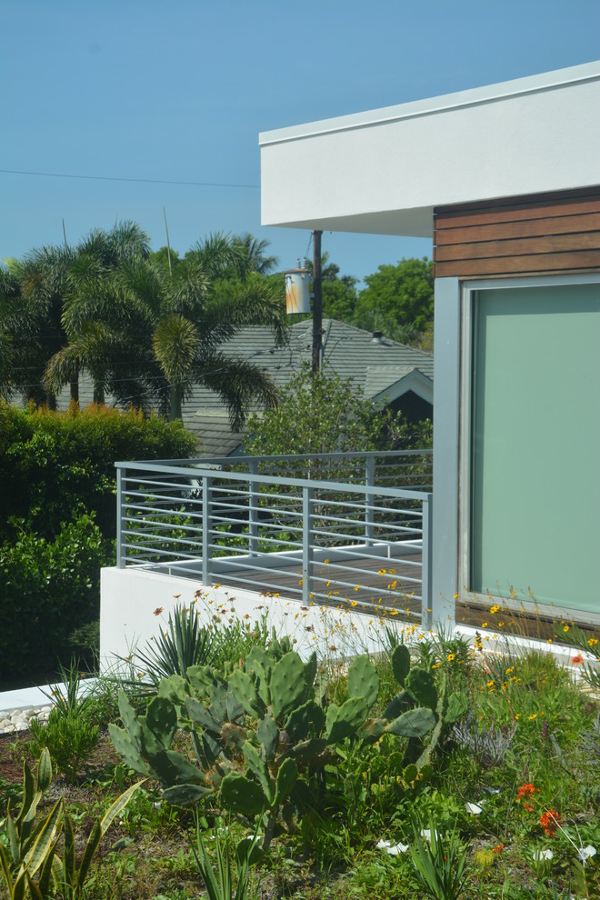 Cette image montre un jardin sur toit minimaliste.