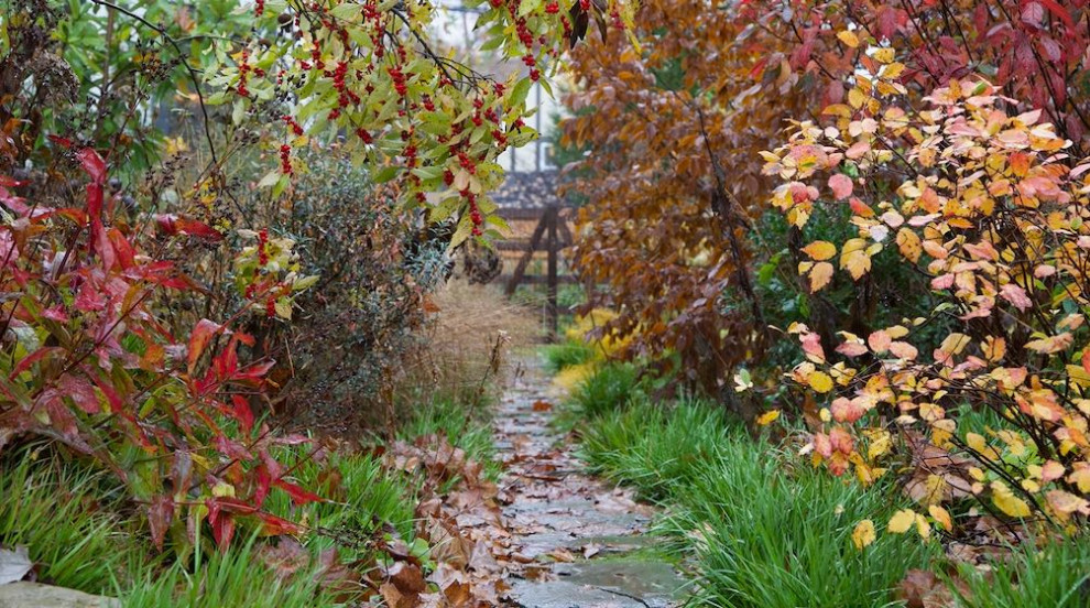 Idee per un piccolo giardino country esposto in pieno sole davanti casa con pavimentazioni in pietra naturale e recinzione in legno