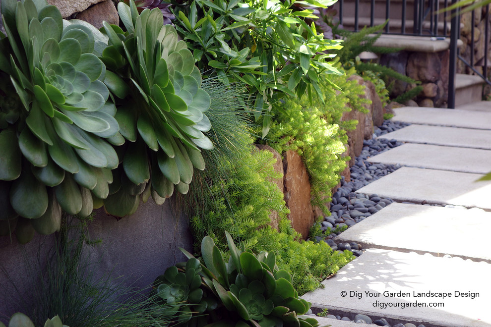 Design ideas for a small contemporary drought-tolerant and shade front yard concrete paver garden path in San Francisco for summer.