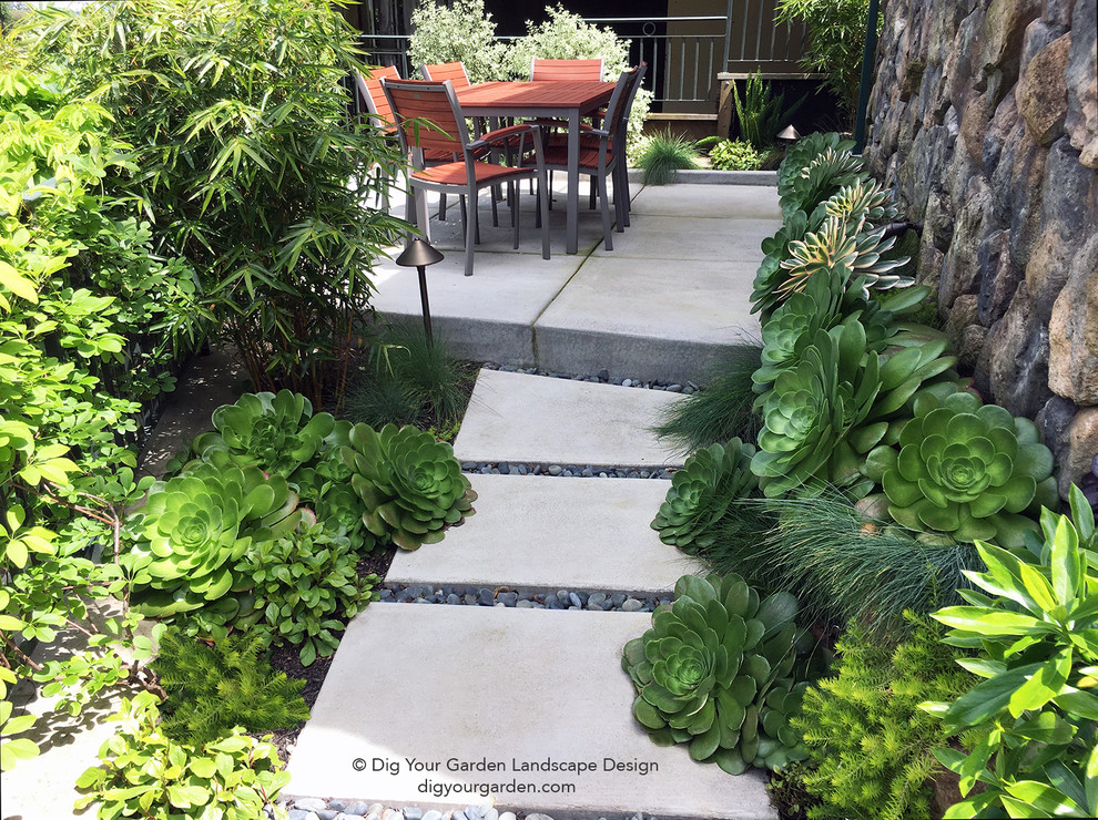 Idee per un piccolo giardino xeriscape minimal in ombra in cortile in primavera con un ingresso o sentiero e pavimentazioni in cemento