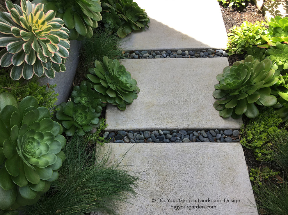 Esempio di un piccolo giardino xeriscape contemporaneo esposto a mezz'ombra davanti casa in primavera con un ingresso o sentiero e pavimentazioni in cemento
