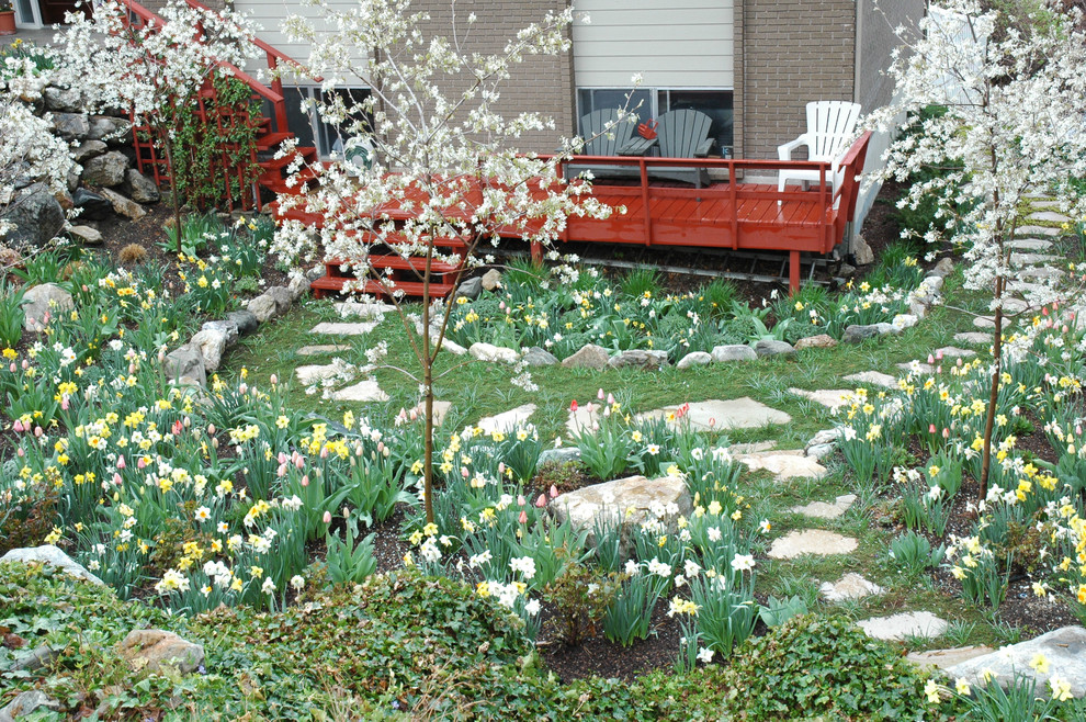Immagine di un giardino xeriscape chic esposto a mezz'ombra di medie dimensioni e davanti casa in estate