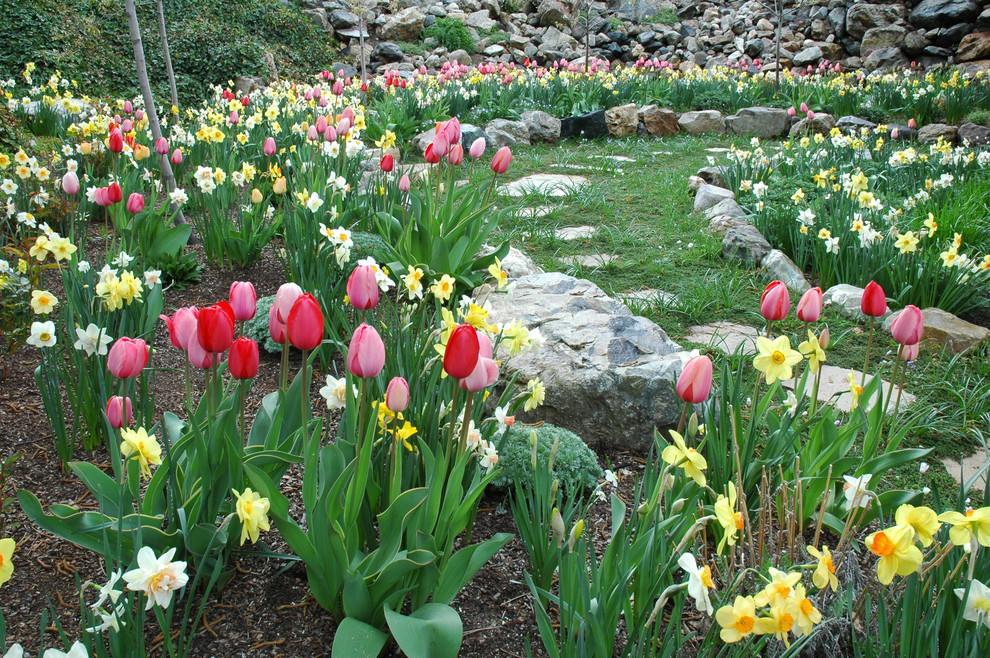 This is an example of a mid-sized traditional full sun and drought-tolerant front yard landscaping in Salt Lake City for spring.