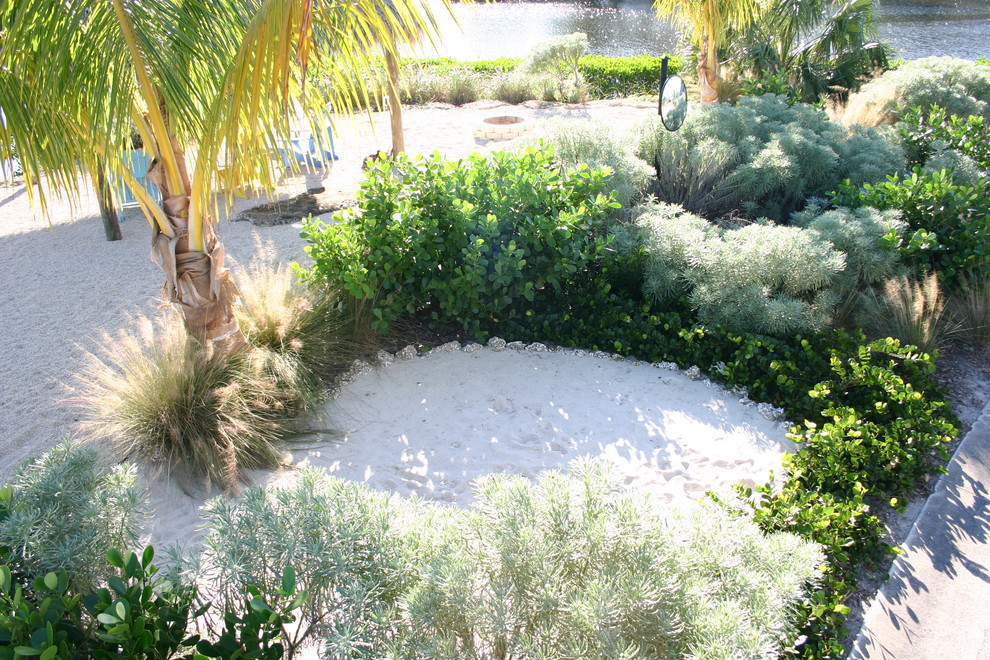 Native Coastal Planting Design Beach Style Landscape Miami By Michael Flaugh Landscape